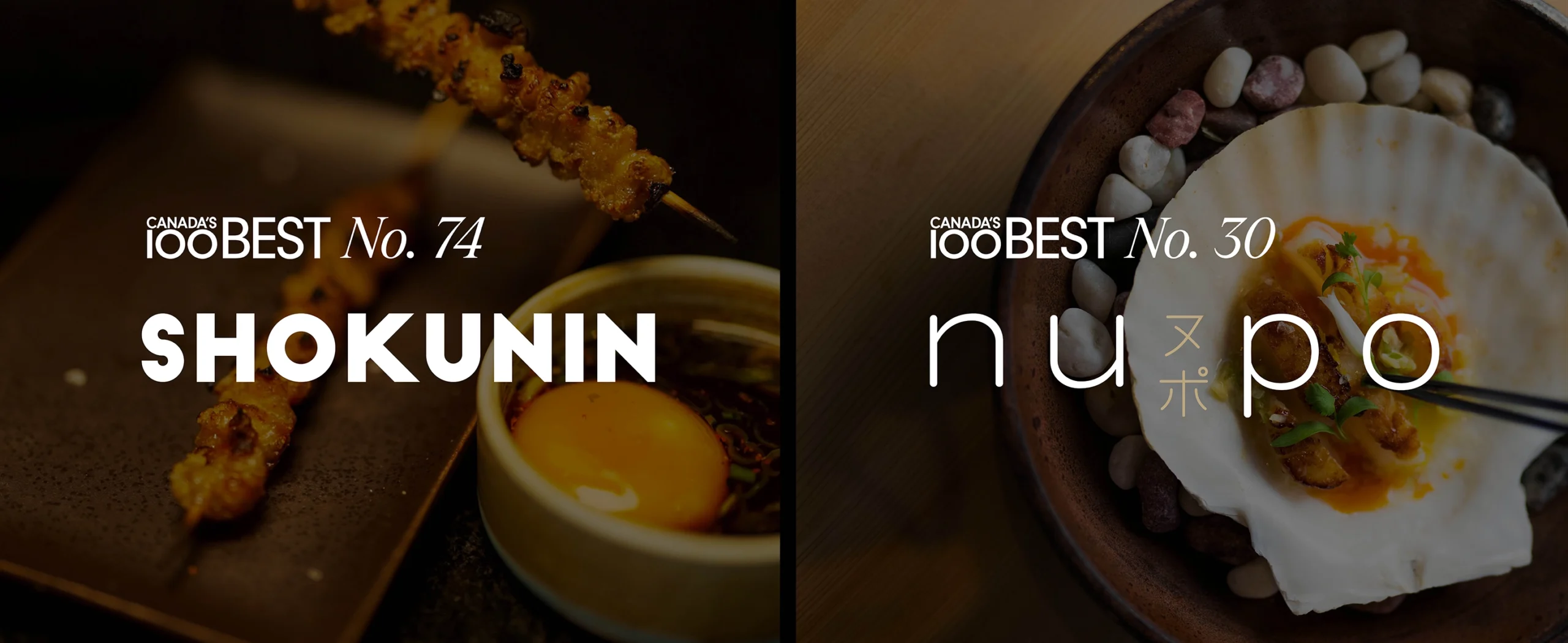 BDM_Banner_Web-Stacked_1